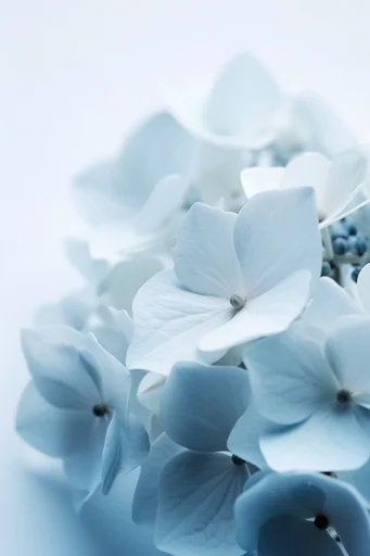 Ethereal Cyan Motion style reference image — high-contrast studio lighting
