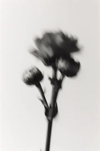 Kinetic Monochrome Minimalism style reference image — ethereal ghosting effect