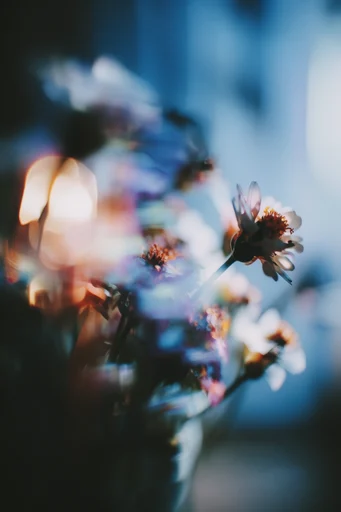 Luminous Cinematic Reverie style reference image — subtle film grain texture