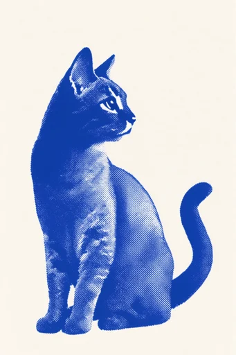 Tactile Risograph Duotone style reference image — minimalist graphic illustration