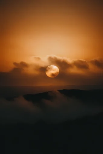 Luminous Amber Silhouette style reference image — monochromatic amber glow