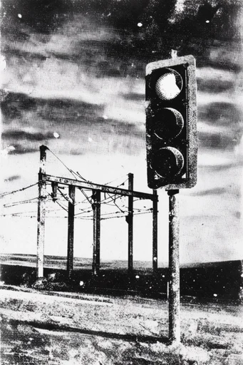 Monochromatic Cosmic Grunge style reference image — high-contrast monochrome