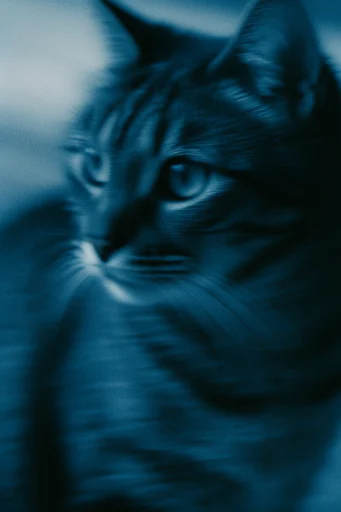 Spectral Cobalt Motion style reference image — shutter drag