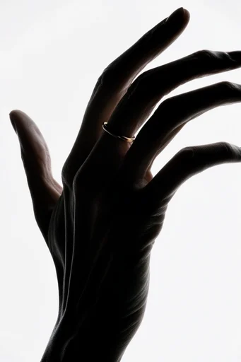 Stark Graphic Minimalism style reference image — bold graphic silhouette