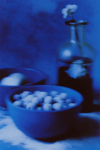 Spectral Indigo Noir style reference image — heavy analog film grain