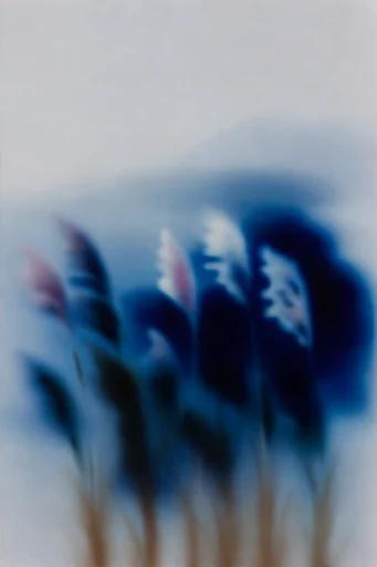 Monochromatic Ethereal Motion style reference image — cyanotype aesthetic