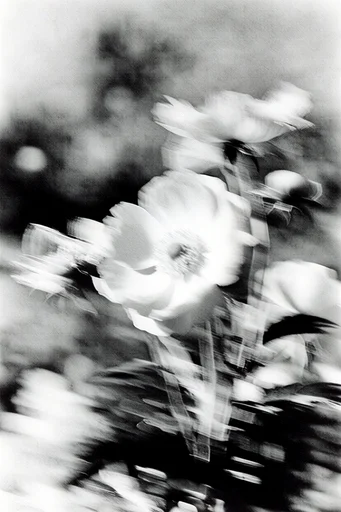 Kinetic Spectral Monochrome style reference image — ghostly kinetic abstraction