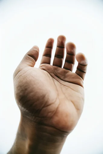 Distorted Minimalist Studio style reference image — stark white background