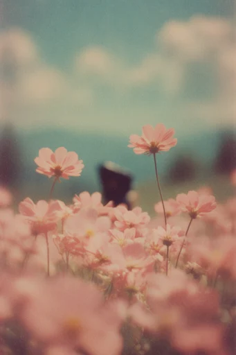 Dreamy Analog Haze style reference image — soft focus