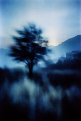 Ethereal Cyanotype Noir style reference image — cyanotype photography