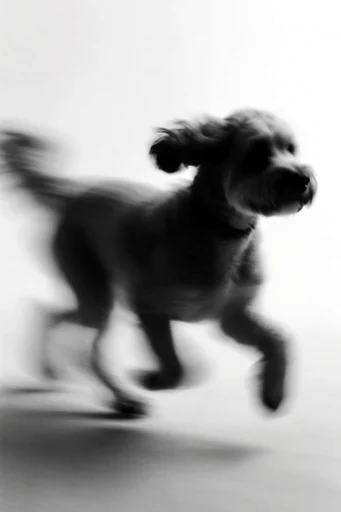Kinetic Monochrome Silhouette style reference image — cinematic noir