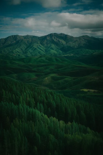 Surreal Verdant Geometry style reference image — aerial drone perspective