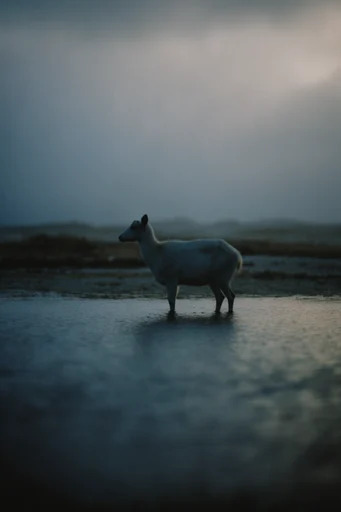 Atmospheric Melancholic Liminality style AI image example 3