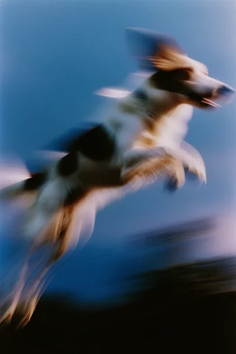 Kinetic Ethereal Motion style reference image — high-contrast lighting