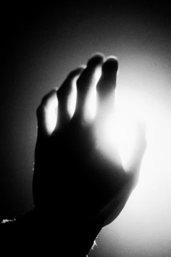 Spectral Monochrome Halation style reference image — high contrast monochrome