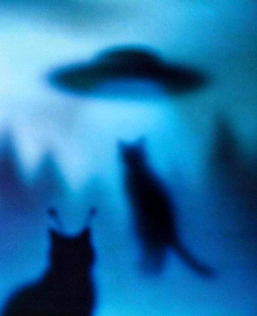 monochromatic electric blue palette, heavy digital film grain, extreme soft-focus silhouettes, diffuse blooming highlights, bottom-left cat with antennae, saucer-shaped craft overhead, wide glowing beam of light, elongated cat silhouette floating upwards in beam, base of stylized blurred pine trees, top-right crescent moon, top-left hazy clouds, stippled starry sky, deep indigo shadows, cyan glow, ethereal atmospheric noise, lo-fi aesthetic, out-of-focus bokeh textures.