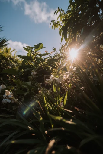 Luminous Natural Transcendence style reference image — dreamy soft focus