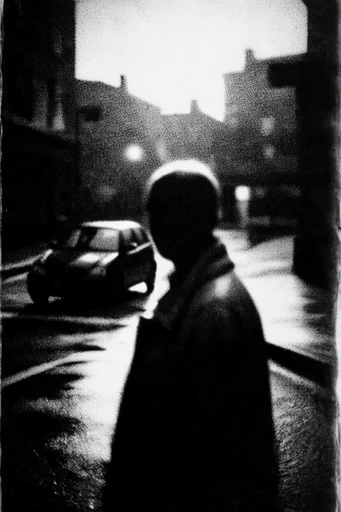 Textured Monochrome Noir style reference image — high-contrast monochrome