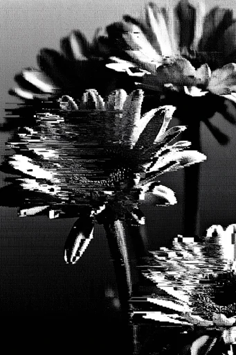 Monochrome Glitch Noir style reference image — digital decay