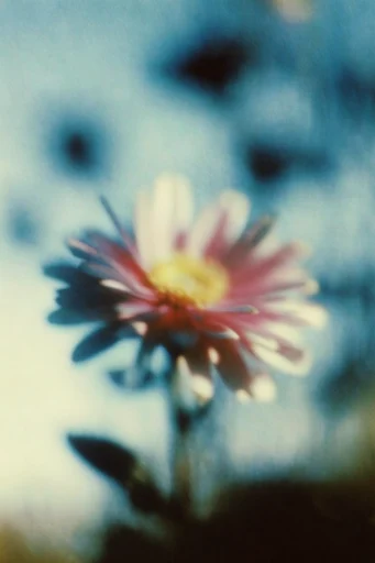 Cinematic Nocturnal Melancholy style reference image — dreamy motion blur