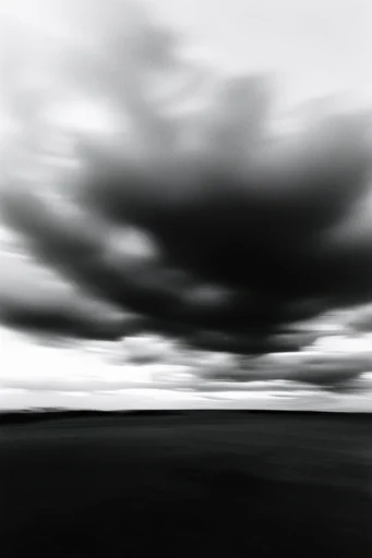 Spectral Motion Noir style reference image — high-contrast black and white