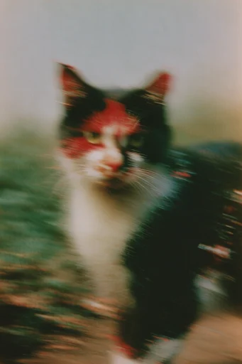 Ethereal Motion Impressionism style reference image — dreamlike haze