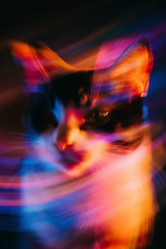 Kinetic Neon Spectralism style reference image — holographic light streaks