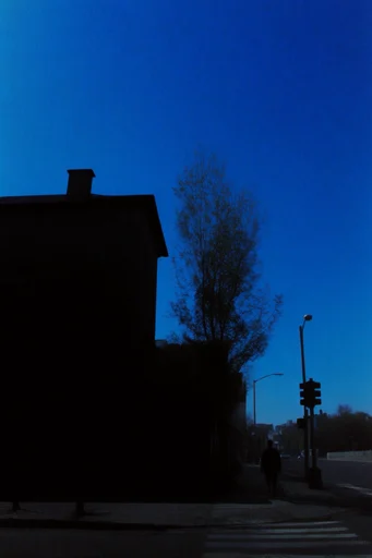 Nocturnal Cobalt Silhouette style reference image — nocturnal indigo palette