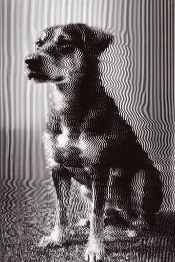 Monochrome Glitch Topology style reference image — optical illusion