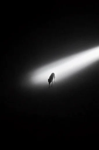 Monolithic Existential Minimalism style reference image — volumetric light shafts