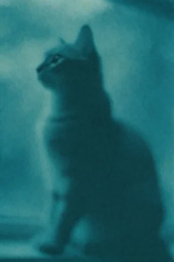 Ethereal Nocturnal Blur style reference image — lo-fi analog aesthetic