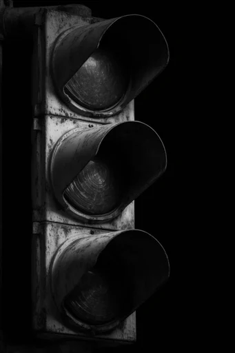 Monochrome Chiaroscuro Minimalism style reference image — chiaroscuro lighting