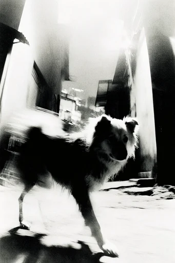 Kinetic Noir Realism style reference image — extreme motion blur