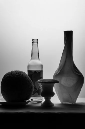 Ethereal Monochrome Silhouette style reference image — rim lighting