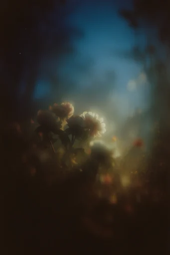 Cinematic Liminal Melancholy style reference image — soft-focus bokeh