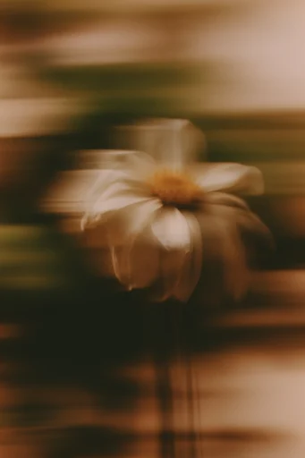 Kinetic Nocturnal Impressionism style reference image — kinetic light streaks