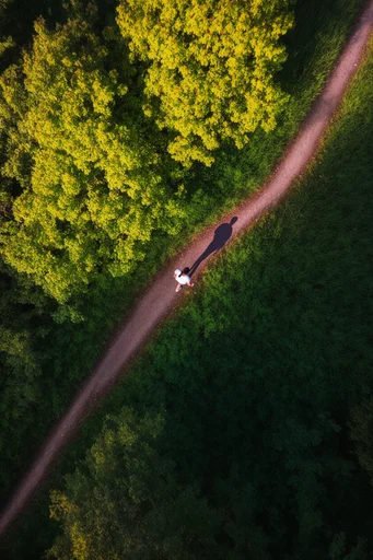 Biophilic Aerial Surrealism style reference image — biophilic surrealism