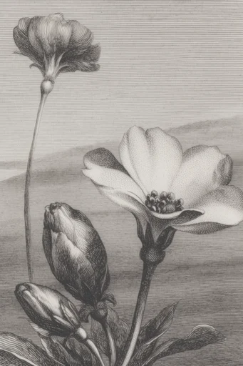Monochrome Etched Surrealism style reference image — surreal allegory