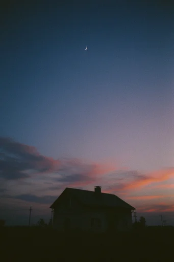 Nostalgic Twilight Silhouettes style AI image example 4