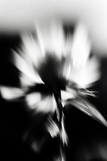 Spectral Kinetic Noir style reference image — chiaroscuro lighting