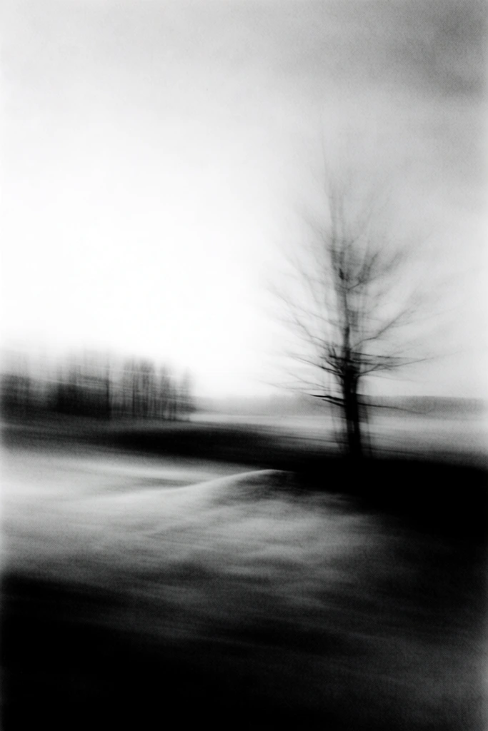 Ethereal Monochrome Motion style AI image example 2