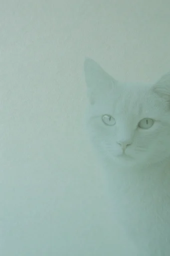 Ethereal Grain Minimalism style reference image — diffused atmospheric light
