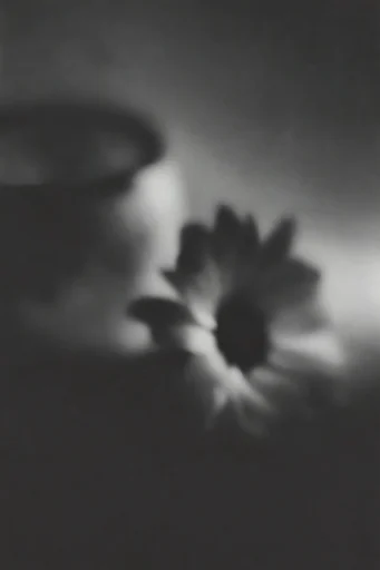 Spectral Monochrome Motion style reference image — heavy film grain