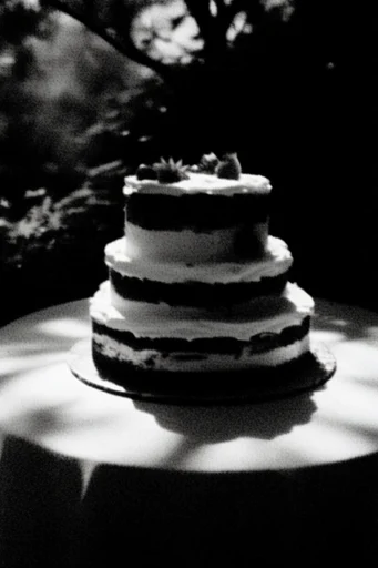 Gritty Cinematic Monochrome style reference image — noir atmosphere