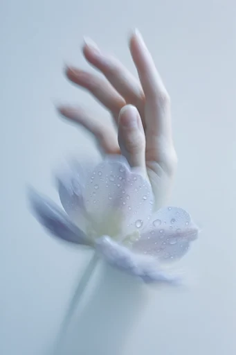 Ethereal Frost Botanical style reference image — ethereal bokeh
