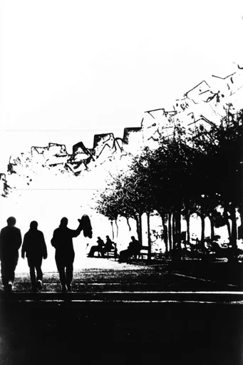 Gritty Monochromatic Punk style reference image — high-contrast black and white