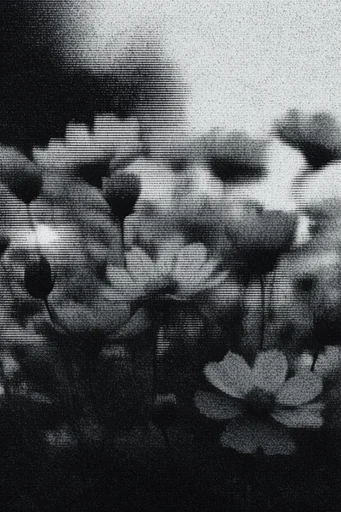 Monochrome Analog Glitch style reference image — haunting silhouettes