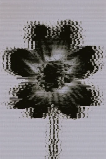 Digital Distortion Minimalism style reference image — scanline texture