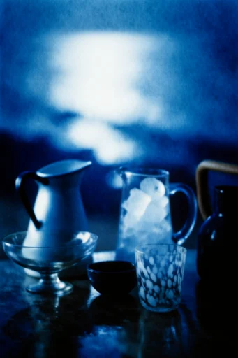 Ethereal Nocturnal Cyanotype style reference image — deep blue monochrome