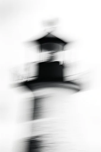Kinetic Monochrome Minimalism style reference image — high contrast